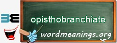 WordMeaning blackboard for opisthobranchiate